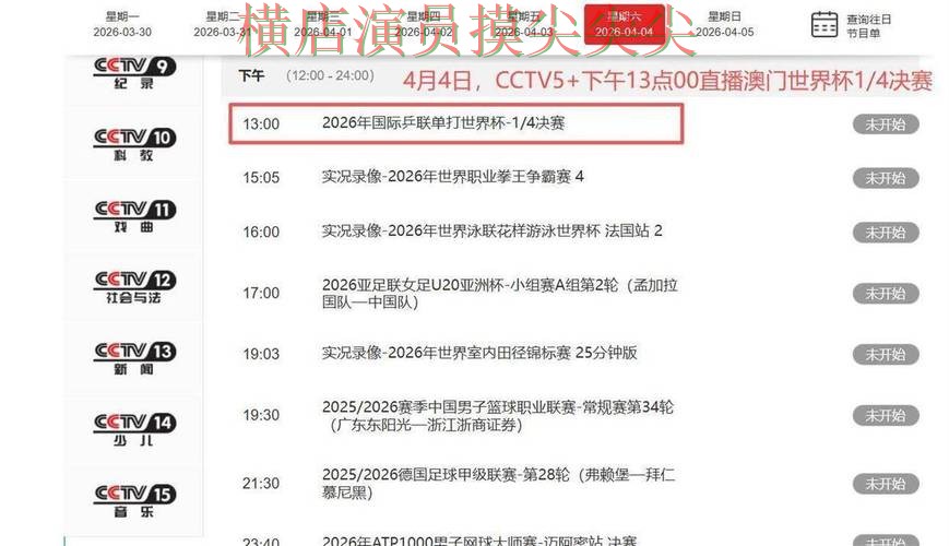 世界杯直播背景下的世界杯买球平台解析与速度测试